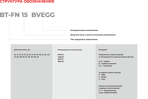 Торцевое уплотнение BT-FN 40 QQVGG в Челябинске фото
